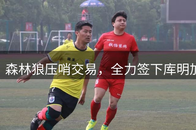 森林狼压哨交易，全力签下库明加