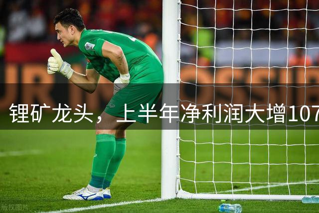 锂矿龙头，上半年净利润大增1076.14%